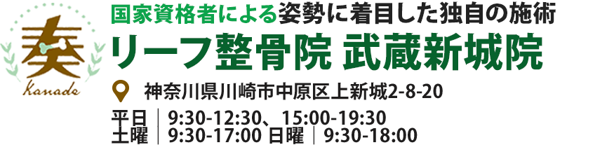 国家資格者による姿勢に着目した独自の施術リーフ整骨院 武蔵新城院